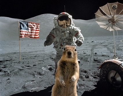 Banff Crasher Squirrel auf dem Mond; Quelle: Chip Online